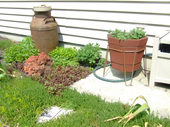 reduce water in my garden reduce water in my garden