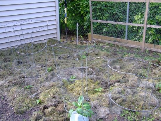 Plant native and climate tolerant species. Plant native and climate tolerant species.