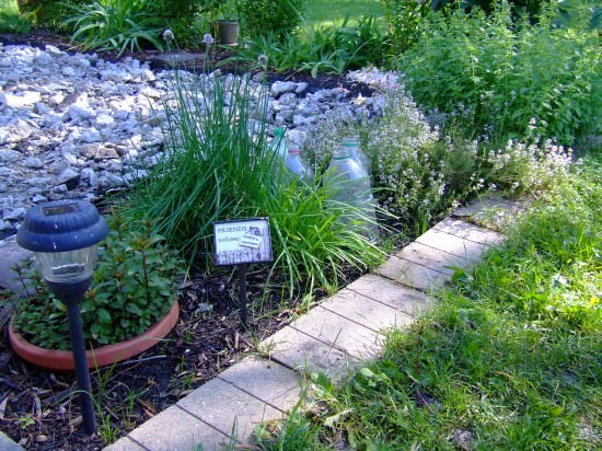 Best Herbs Go Grow Best Herbs Go Grow
