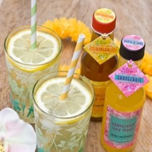 12309-homemade-soda-syrups.jpg
