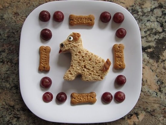 6176-puppy-lunch.jpg