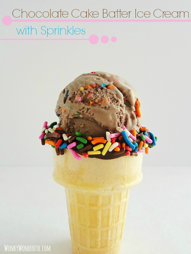 Chocolate-Cake-Batter-Ice-Cream-with-Sprinkles-22