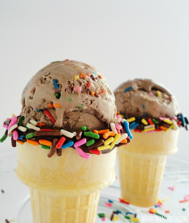 Chocolate-Cake-Batter-Ice-Cream-with-Sprinkles-33