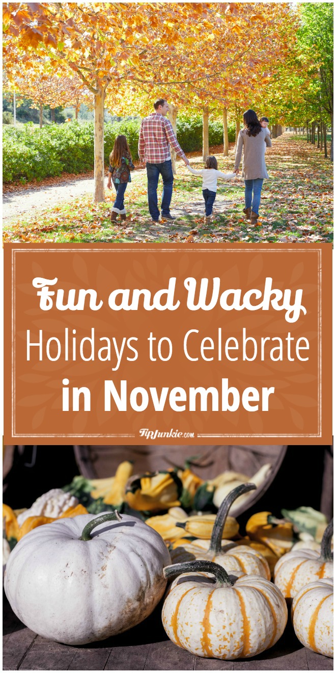 Fun and Wacky Holidays to Celebrate in November