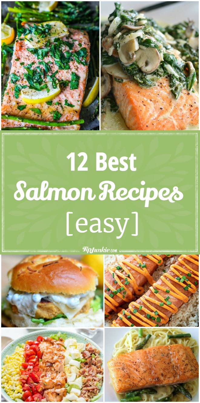 Easy Salmon Recipes to Make