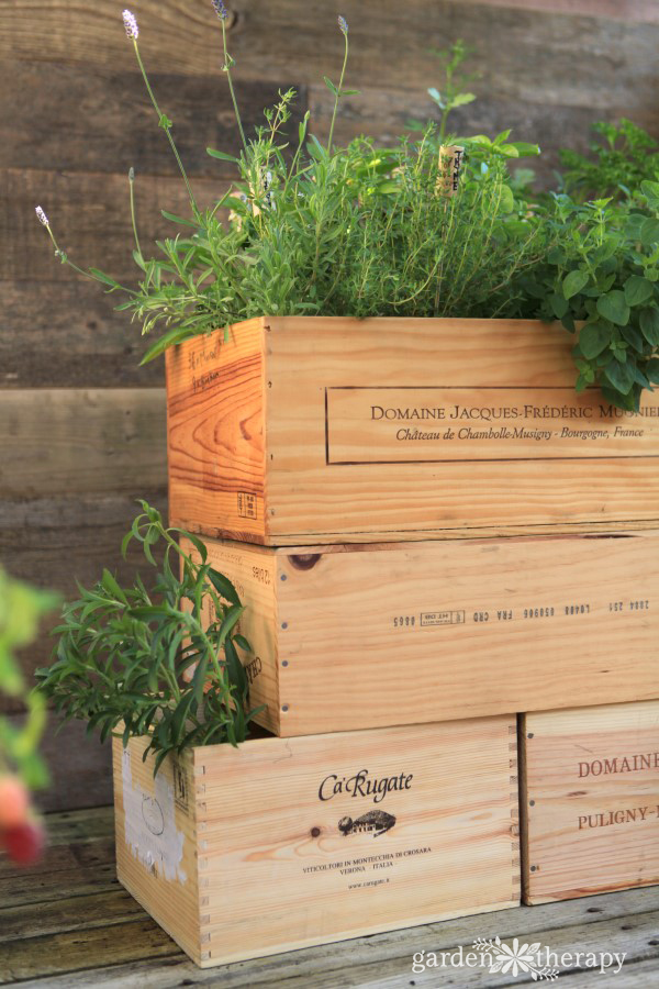 wine box herb garden