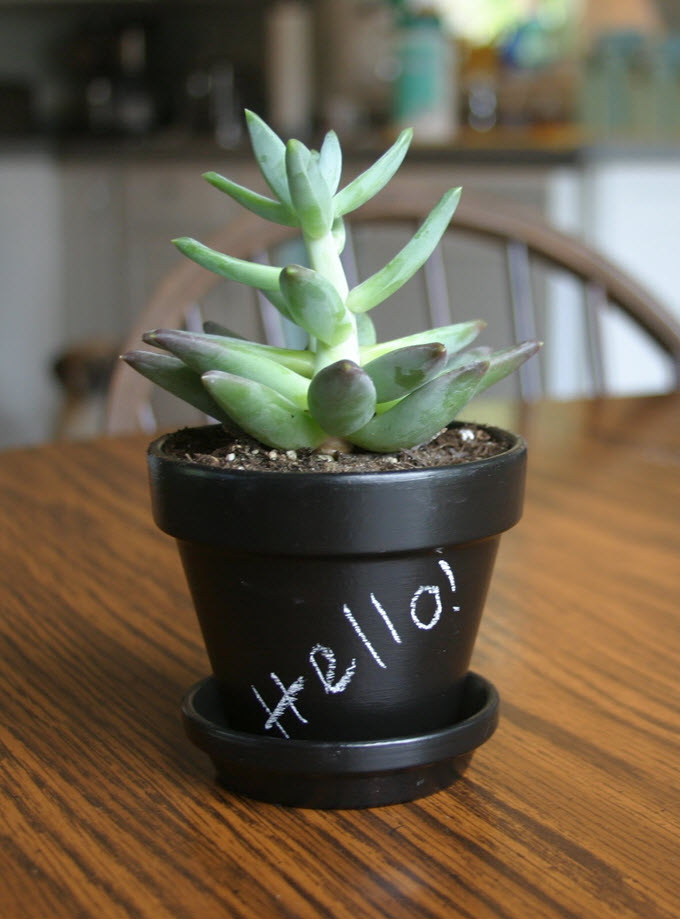 DIY Chalkboard Planters