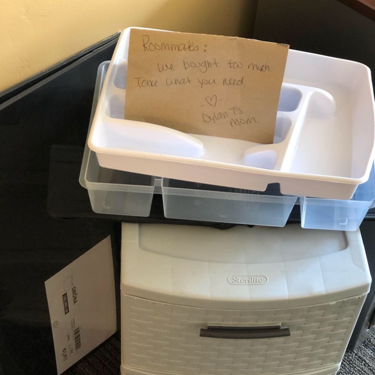 College Dorm Roommate Take What You Need Pile College Dorm Roommate Take What You Need Pile