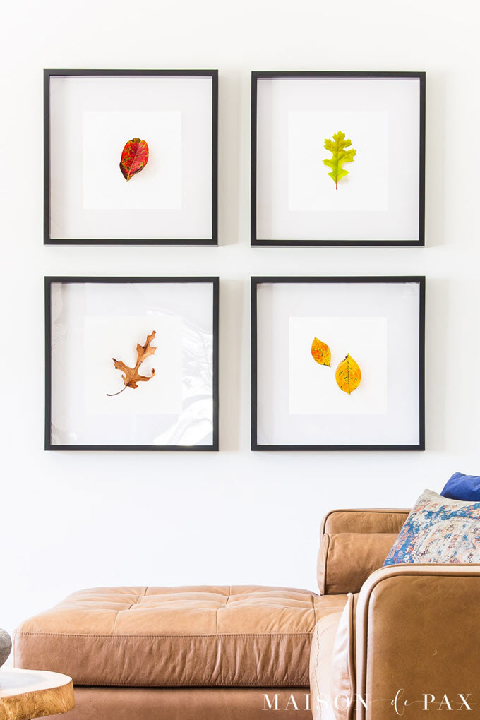 Leaves framed Leaves framed
