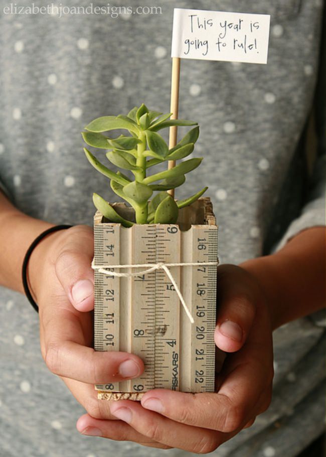 Ruler Succulent Planter Ruler Succulent Planter