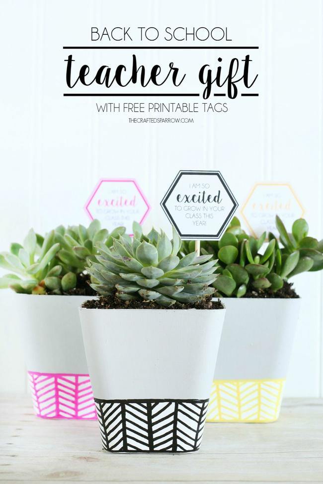 Succulent Back to School Gift Idea Succulent Back to School Gift Idea