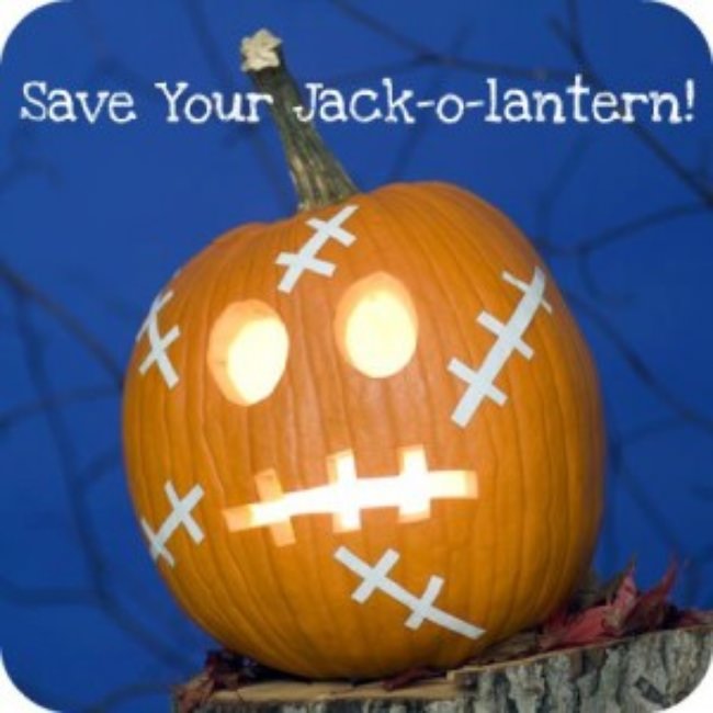 40 Easy Pumpkin Carving Ideas Tip Junkie Impressive Animal Pumpkin Carving Patterns 40 Easy Pumpkin Carving Ideas Tip Junkie Impressive Animal Pumpkin Carving Patterns