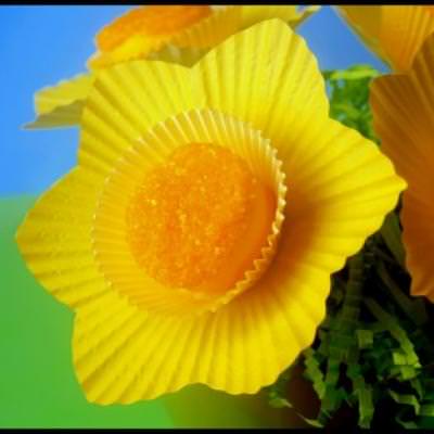 Delightful Daffodils