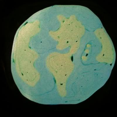 Earth Day Pancakes
