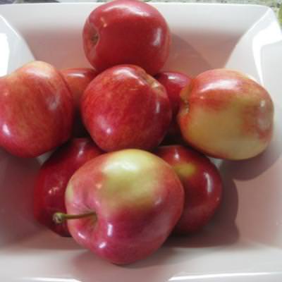 Apple Recipes