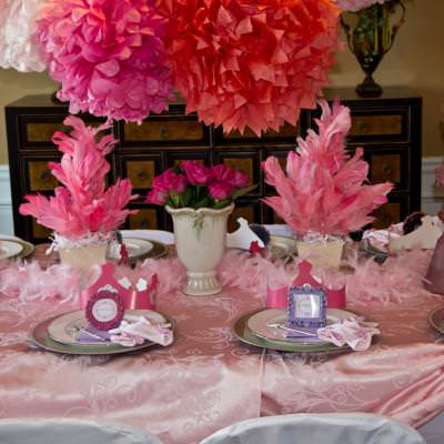 Fancy Nancy Soiree