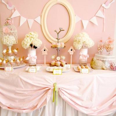 Pink Birdie Baby Shower