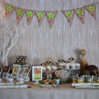 Rustic Owl Baby Shower