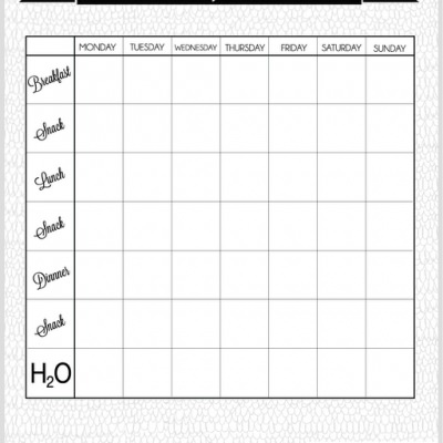 FOOD JOURNAL