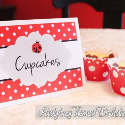 Ladybug Birthday Printables