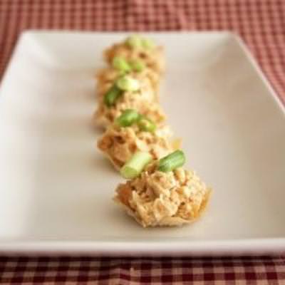 Chicken Wonton Appetizers